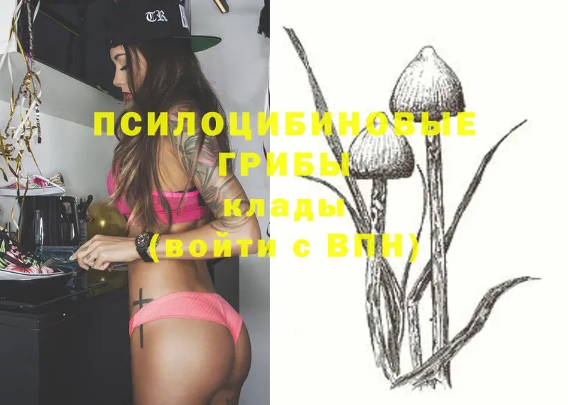 Псилоцибиновые грибы Magic Shrooms  Пушкино 